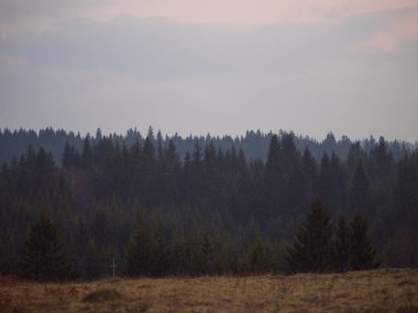Güzel manzara manzarası. Doğa arkaplanı 