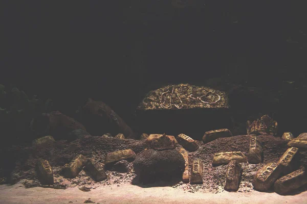 Pusty Wystrój Akwarium Niesamowita Koncepcja Podwodnego Świata — Zdjęcie stockowe