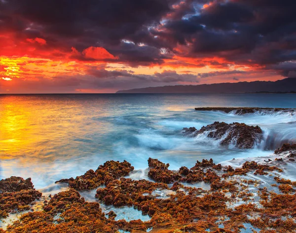 Magical Places Oahu North Shore Hawaii — Stock Photo, Image