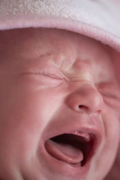 新生児は泣き叫び — ストック写真
