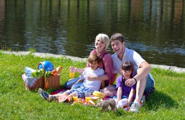 mutlu bir aile piknik mekanlarda birlikte oynama
