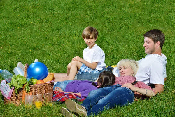 Gelukkige Familie Samenspelen Een Picknick Buitenlucht — Stockfoto