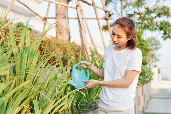 Beautiful Asian Girl Watering Plants — Stok Foto