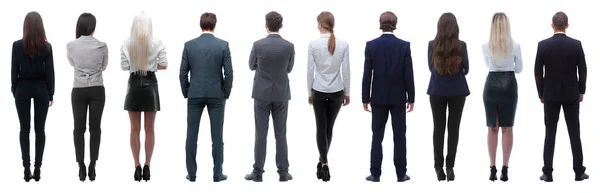 Rear View Business Team Looking Forward Isolated White — Stock Photo, Image