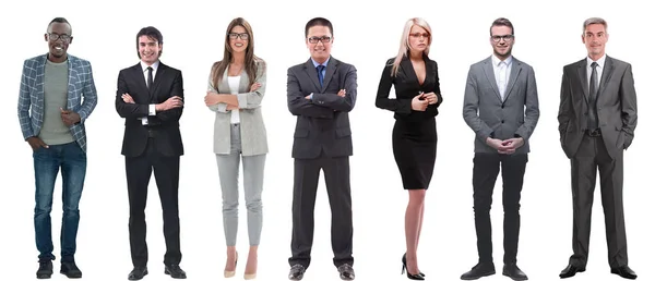 Group Successful Business People Standing Row — Stock Photo, Image