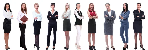 Panoramic Collage Group Successful Young Business Women — Stock Photo, Image