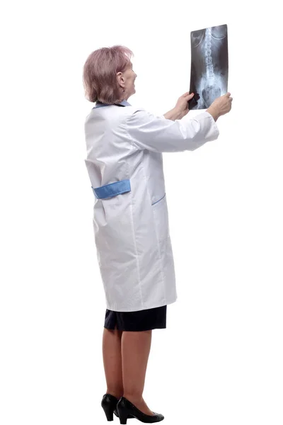 女医生正在看X光片 在白色的树上被隔离 — 图库照片
