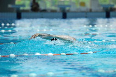 Erkek sporcu yüzme havuzunda yüzüyor 