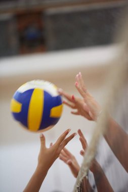 Voleybol takımı oyunda 