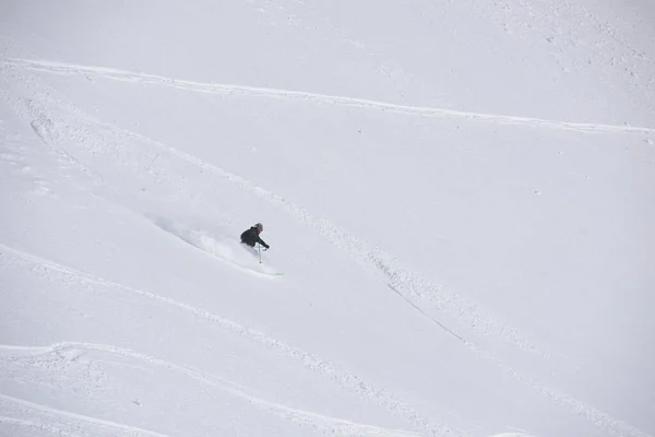 Ski Freeride Dans Neige Poudreuse Profonde — Photo