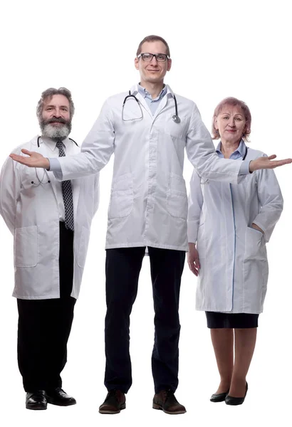 Grupo Diversos Profesionales Médicos Aislado Blanco — Foto de Stock
