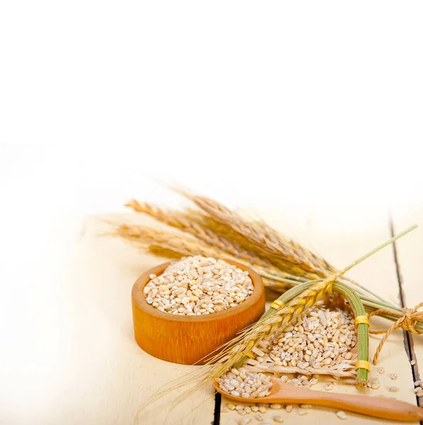 ベーキングのための新鮮な有機穀物のクローズアップショット — ストック写真