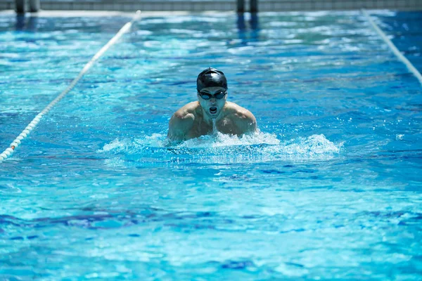 Erkek Sporcu Yüzme Havuzunda Yüzüyor — Stok fotoğraf