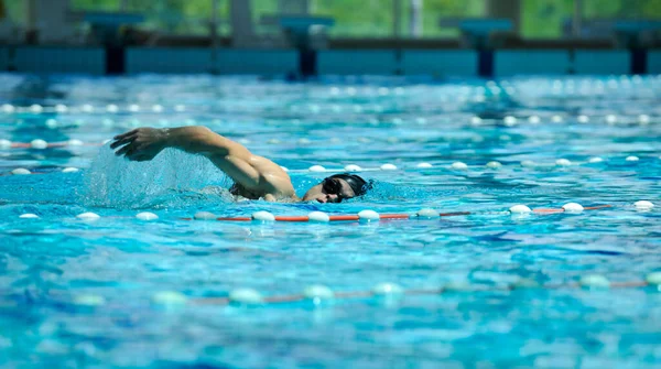 Αθλητής Κολυμπάει Στην Πισίνα — Φωτογραφία Αρχείου