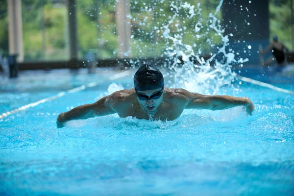 Male Athlete Swimming Swim Pool — Stock Photo, Image