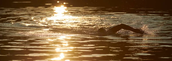 Atleta Triatlón Nadando Lago Amanecer Usando Traje Neopreno —  Fotos de Stock