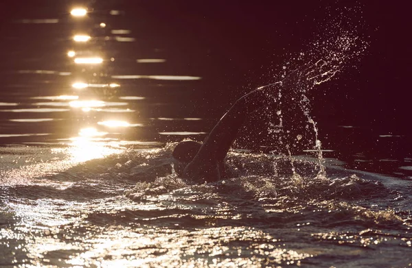Triatlon Atleet Zwemmen Meer Zonsopgang Het Dragen Van Wetsuit — Stockfoto