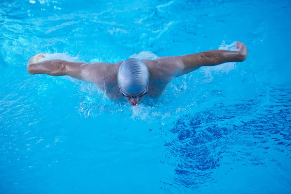 Swimmer Exercise Indoor Swimming Pool Stock Picture