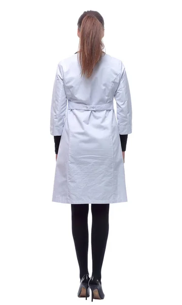 Rear View Female Doctor Reading White Screen Royalty Free Stock Photos