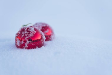 Taze karda kırmızı Noel topları. Kış tatili uygun.