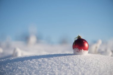 Taze karda kırmızı Noel balosu. Kış tatili kavramı