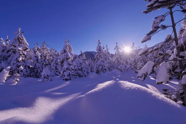Amanecer Invierno Con Bosque Cubierto Nieve Fresca Montañas — Foto de Stock
