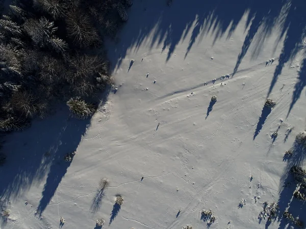 Воздушные Зимние Леса Солнечная Погода Вид Сверху — стоковое фото