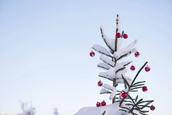 Fir Δέντρο Διακοσμημένα Κόκκινα Μπιχλιμπίδια Για Χειμερινές Διακοπές Εξωτερικούς Χώρους — Φωτογραφία Αρχείου