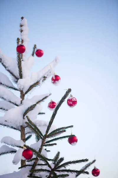 Widok Bliska Świąteczne Czerwone Kulki Wiszące Śniegu Capped Świerk — Zdjęcie stockowe