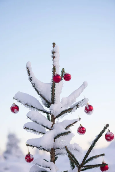 Kırmızı Toplarla Süslenmiş Karla Kaplı Bir Noel — Stok fotoğraf
