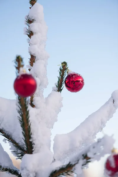 Kırmızı Toplarla Süslenmiş Karla Kaplı Bir Noel — Stok fotoğraf
