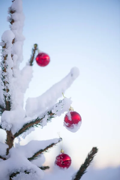 Festlig Jul Täckt Med Snö Dekorerad Med Röda Bollar — Stockfoto