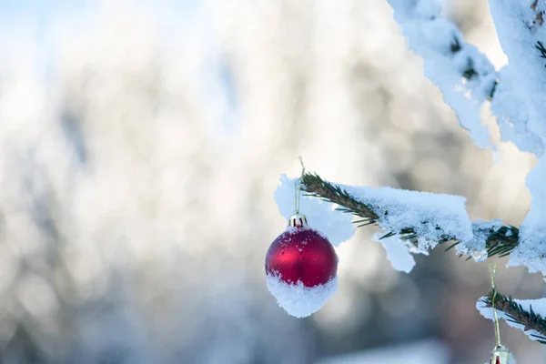 圣诞树上挂着一个有复制空间的圣诞球 — 图库照片
