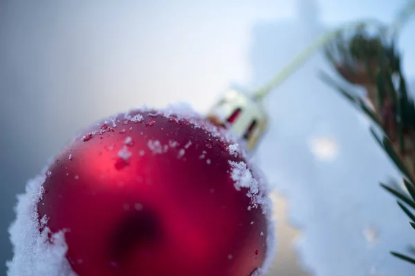 松の木に吊るされたクリスマスボール — ストック写真