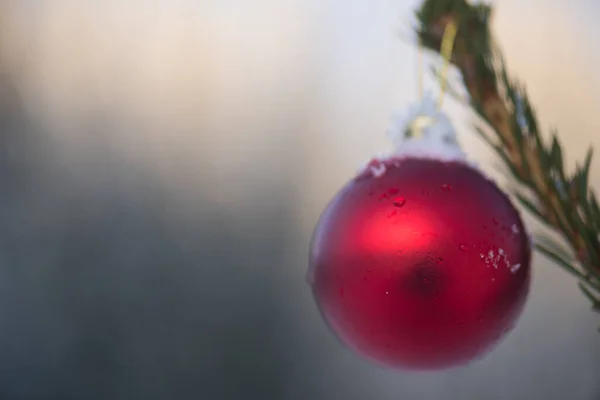 Kerstbal Hangend Aan Dennenboom — Stockfoto