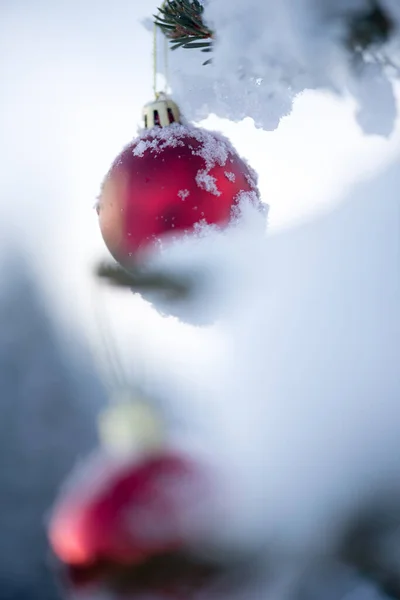 Natale Festivo Ricoperto Neve Decorato Con Palline Rosso Lucido — Foto Stock