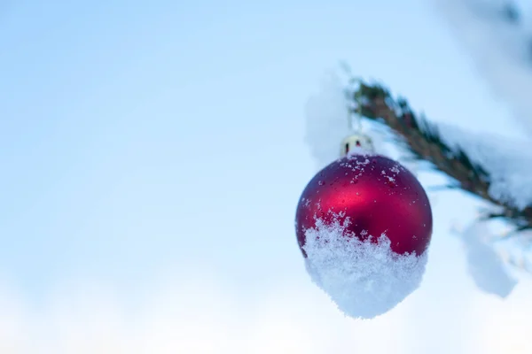 松の木に吊るされたクリスマスボールの閉鎖 — ストック写真