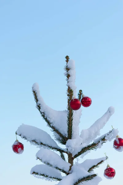 Рождественские Балы Сосне — стоковое фото