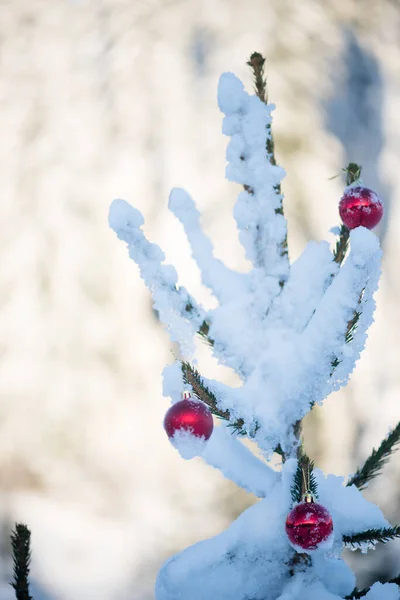 Праздничное Рождество Покрытое Снегом Украшенное Блестящими Красными Безделушками — стоковое фото