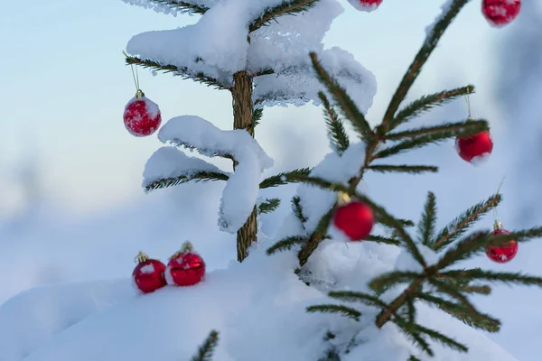 Χριστουγεννιάτικο Δέντρο Στολισμένο Γυαλιστερά Κόκκινα Μπιχλιμπίδια — Φωτογραφία Αρχείου
