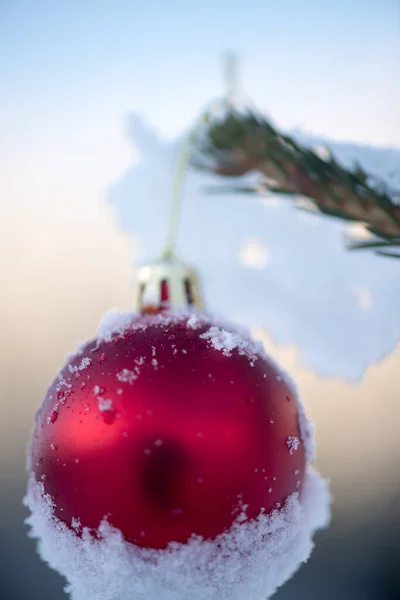 Closeup Άποψη Των Χριστουγέννων Μπάλα Κρέμεται Πεύκο — Φωτογραφία Αρχείου
