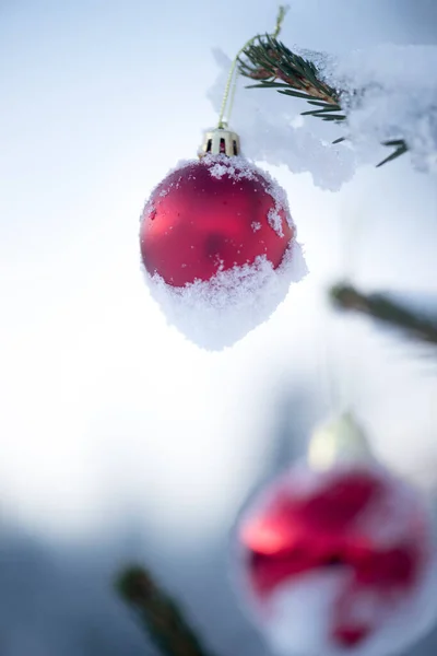 雪帽云杉上挂着喜庆的红球 — 图库照片