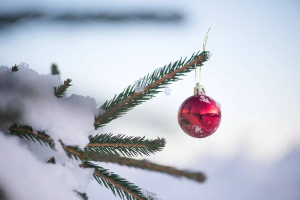 Fotokopi Aletiyle Ladin Üzerinde Asılı Kırmızı Noel Topu — Stok fotoğraf