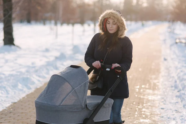 Μαμά Περπατάει Μωρό Στο Καρότσι Χειμερινό Πάρκο Ευτυχισμένη Γυναίκα Μωρό — Φωτογραφία Αρχείου