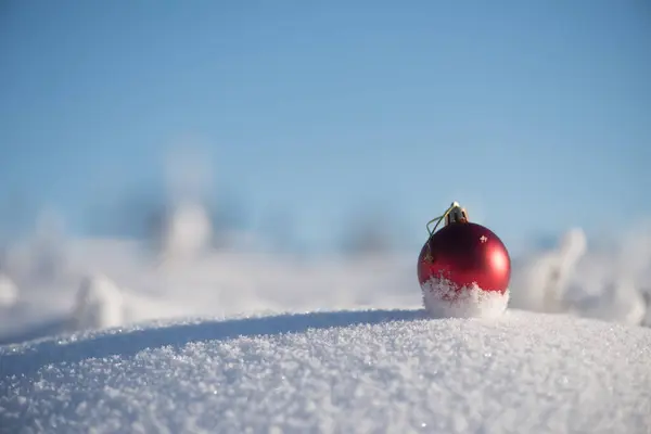 Red Christmas Ball Fresh Snow Winter Holidays Concept — Stock Photo, Image