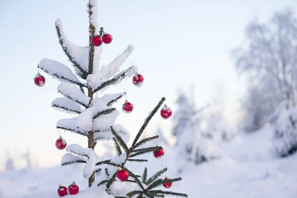 冬の休日の屋外のための赤いボールで飾られたお祭りのモミの木 — ストック写真