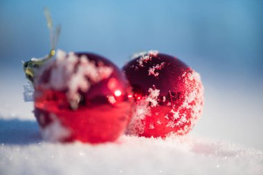 Taze karda kırmızı Noel topları. Kış tatili uygun.