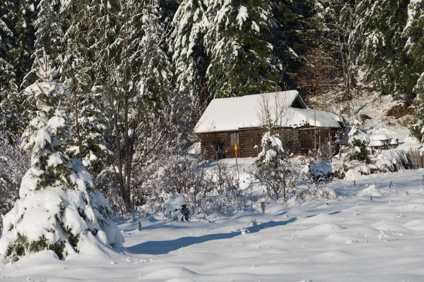 Pequeña Cabaña Madera Wildernes Cubierta Nieve Fresca — Foto de Stock