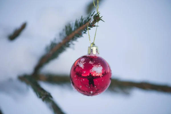 Närbild Julklotet Hängande Tall — Stockfoto