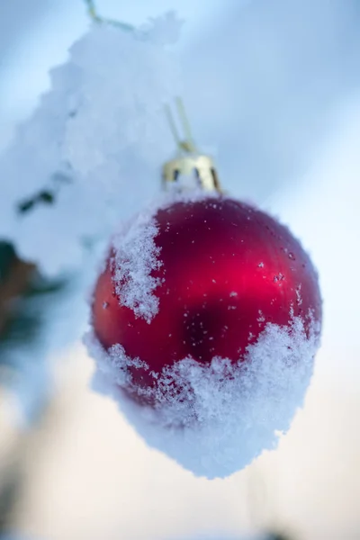 Bola Roja Navidad Colgada Abeto Cubierto Nieve Con Espacio Para —  Fotos de Stock